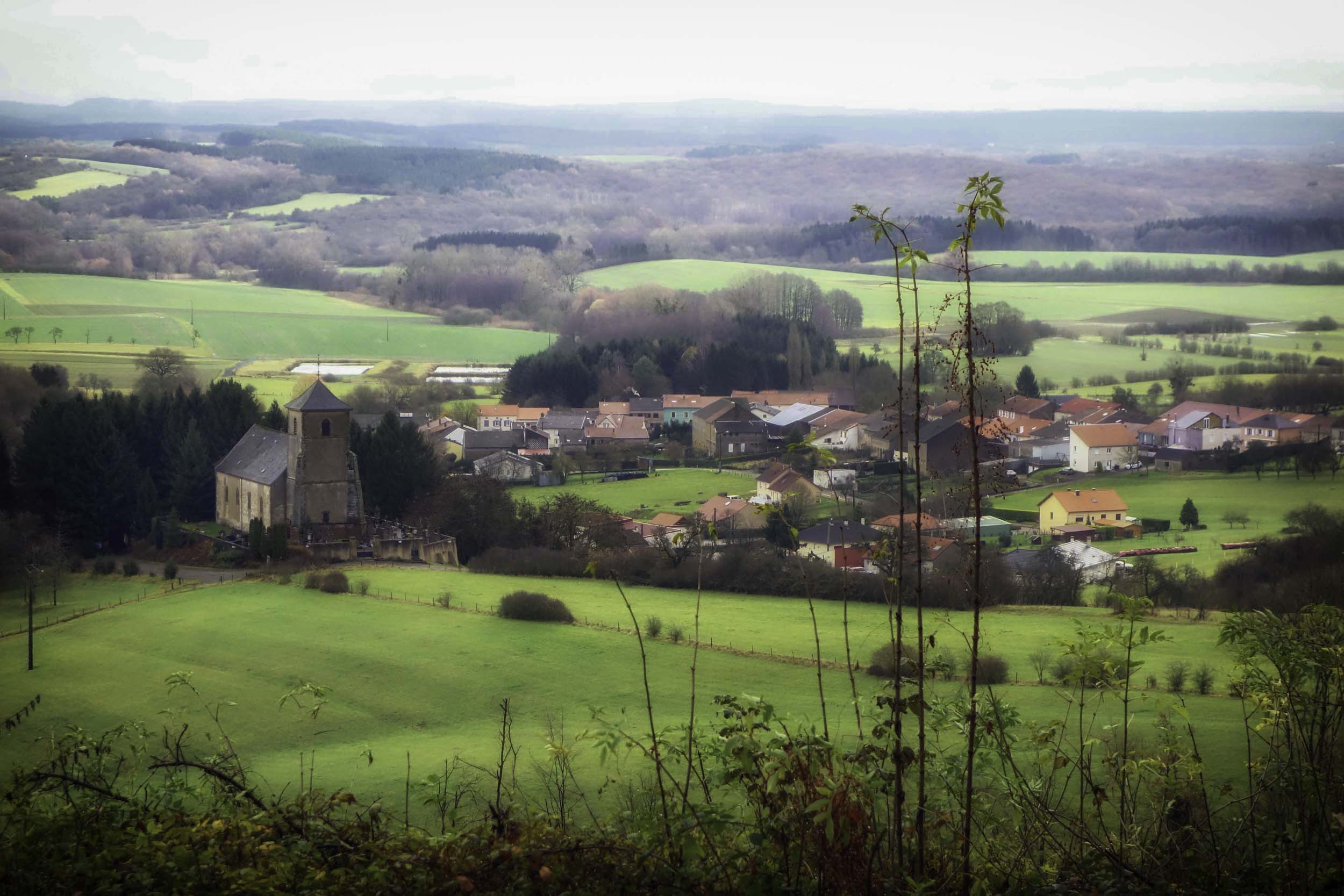 🌿 Nettoyons la nature – Dimanche 1er mars 2026 à Kemplich